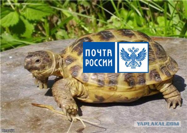 Если бы Гарри жил в России