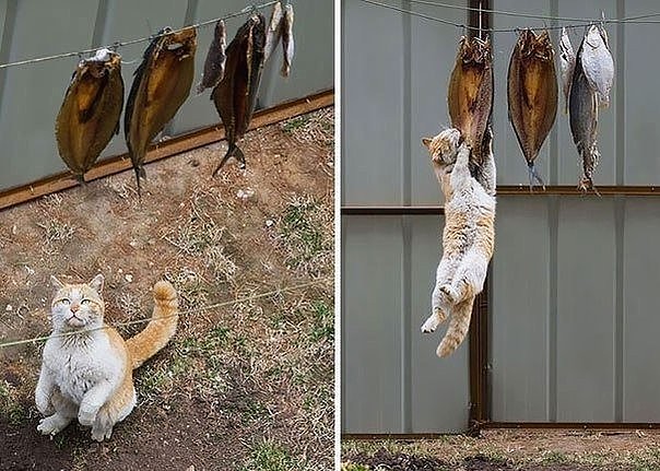 Немного картинок на вторник