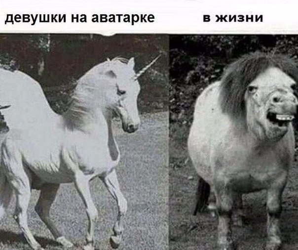 Картинки