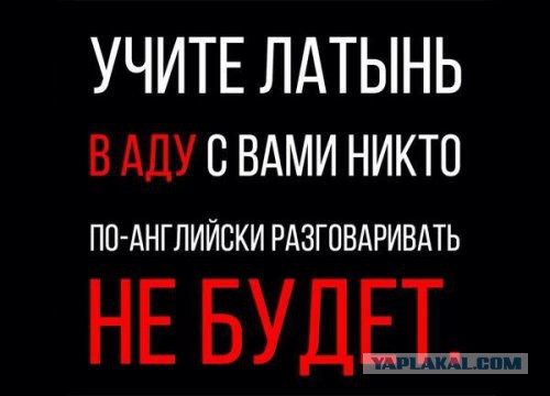 Подборка картинок 17.02.16