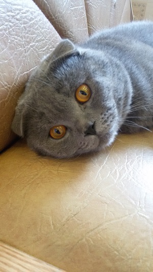 20 фото из жизни сильных и независимых мужчин