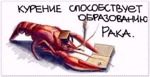 Подборка интересных и смешных картинок