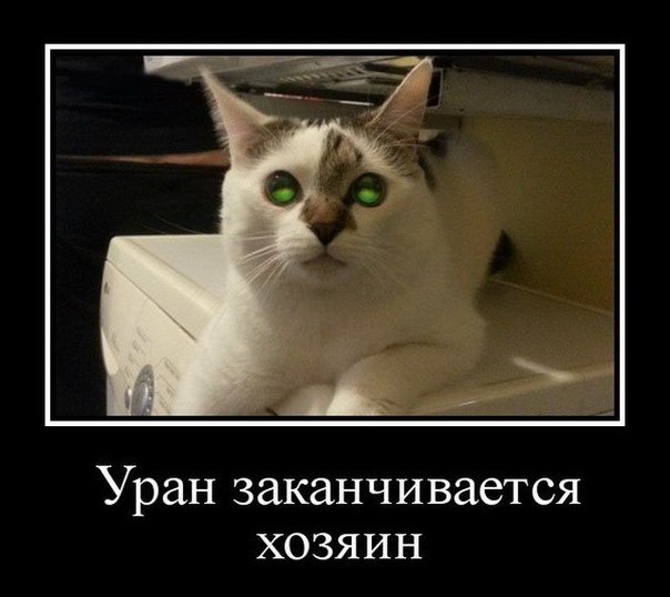 Прикольные животные