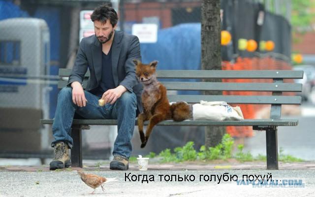 По итогам выборов в Госдуму прошли десять человек с судимостью