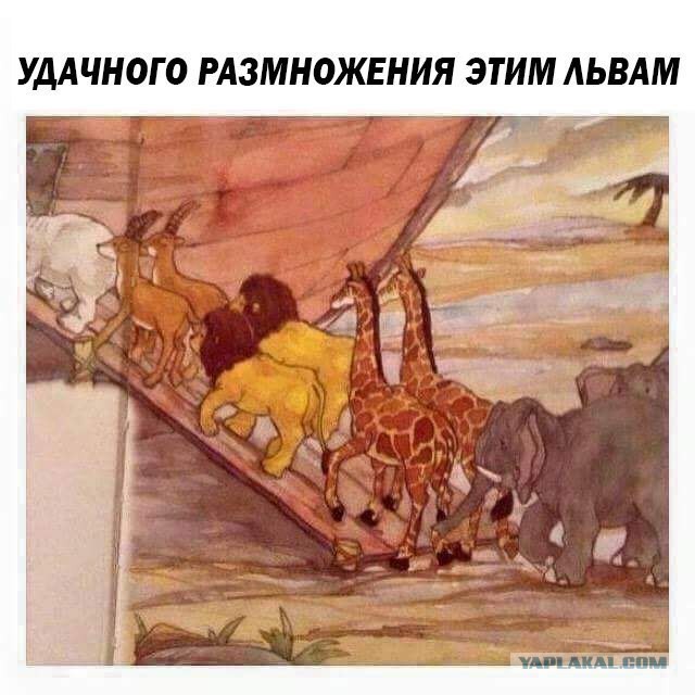 Отупляющие приколы