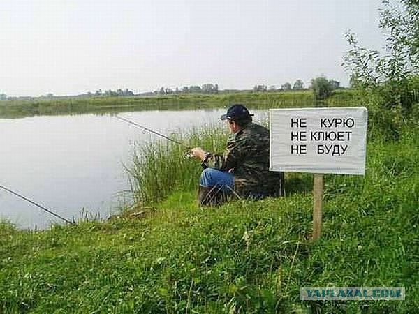 Всякие разные картинки