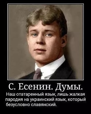 Украиноязычным продавцам в Харькове посоветовали валить «в свою бандеровщину»