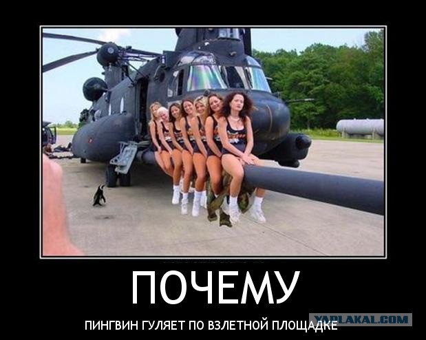 Люди, вы чё, Опять?