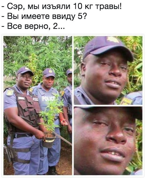 Подборка интересных и веселых картинок