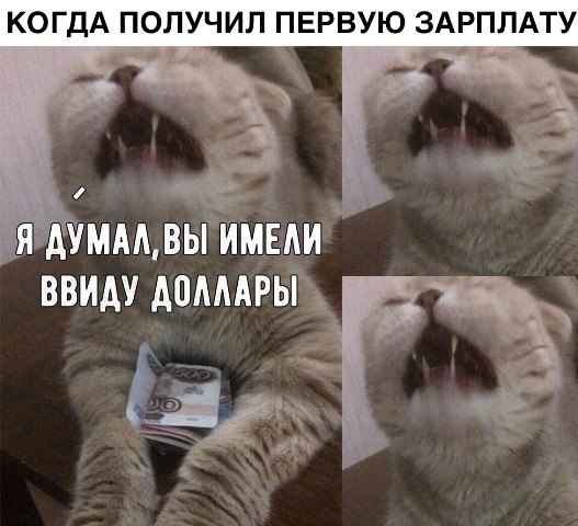 Подборка картинок. Забавных, прикольных - разных!