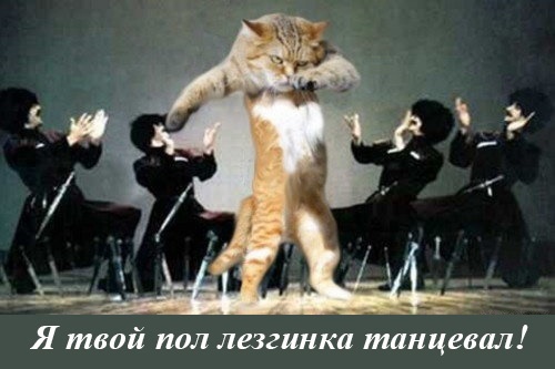 Нурмагомедов vs Макгрегор