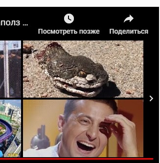 В Таиланде питон заполз в дом и полакомился рыжим котиком