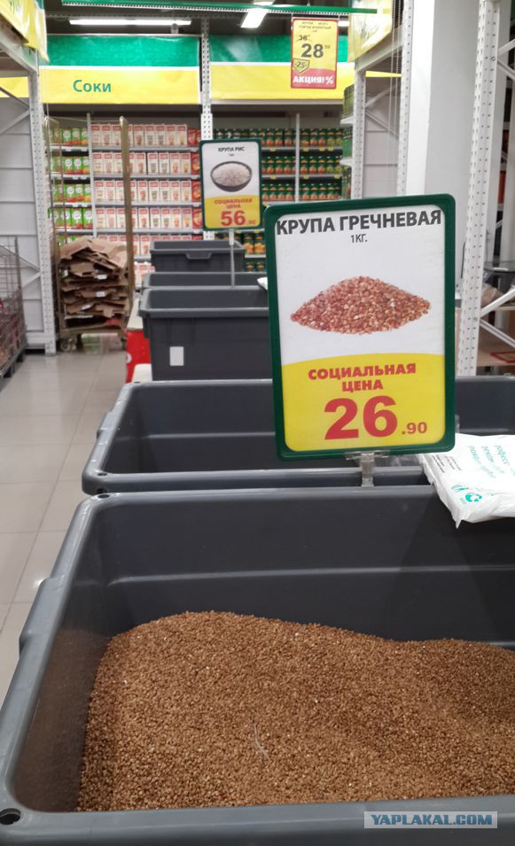 «Она мертвая!» — продукцию по соцпрограмме «Приморская рыба» проверят на экспертизе после жалоб горожан