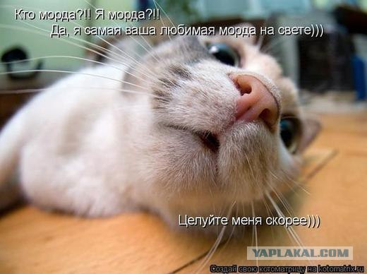 Кто?! Кто посмел обидеть маленького?!