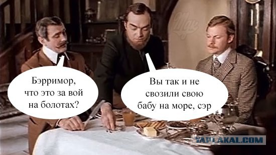 Подеградируем?