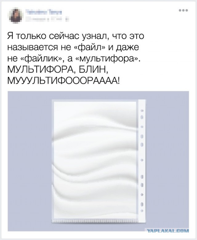 15 фактов от людей, чья наблюдательность граничит с гениальностью.
