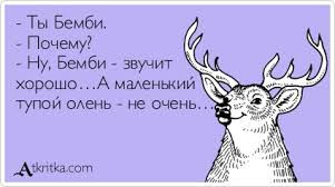 Хомяки разбушевались