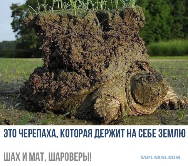 12 советов тем кто начинает постить на ЯП
