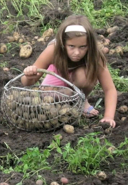 Вас когда-нибудь припахивали родственники?