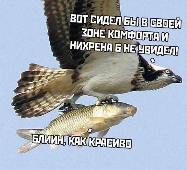 Юмор на любителя