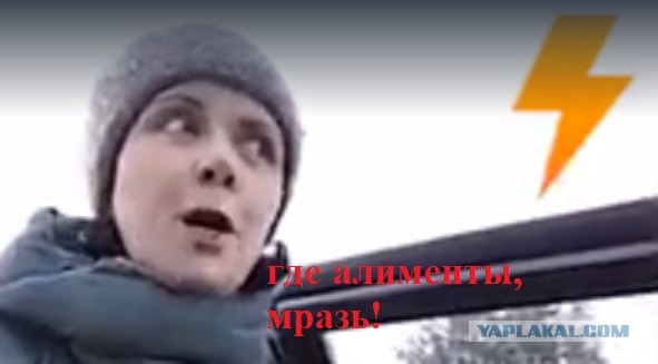 Где алименты, скотина?