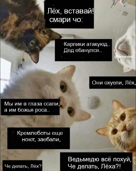 Таинственный остров Медведева