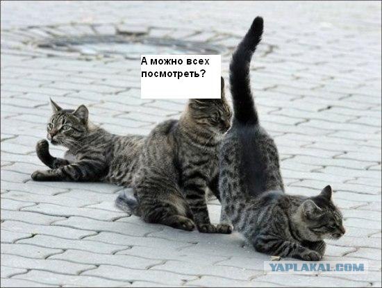 Подпиши фото!