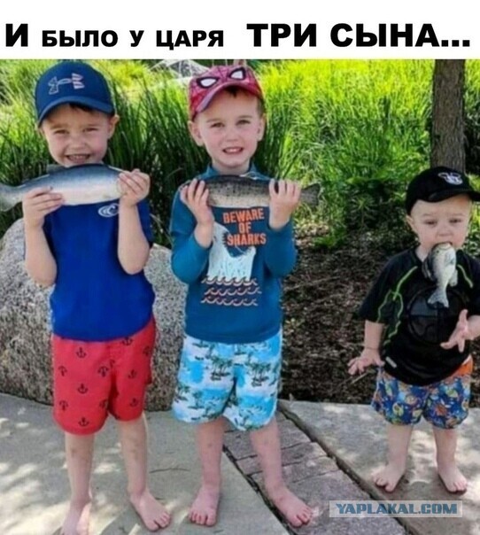Немного картинок для настроения 112