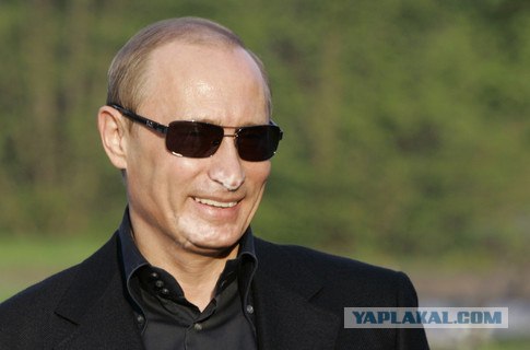 Порошок
