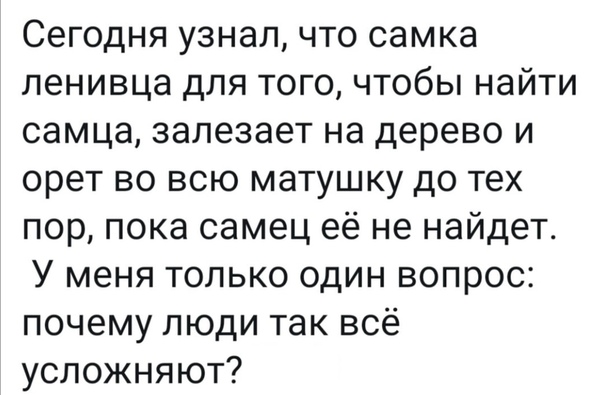 Немного картинок для настроения 28.08.20