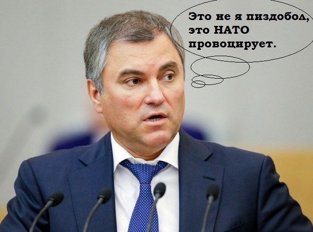 Володин: НАТО устроило провокацию с Навальным, не стерпев укрепления экономики России