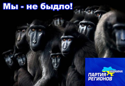 Ассоциации