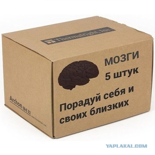 Как быть виноватой всегда и во всем - инструкция