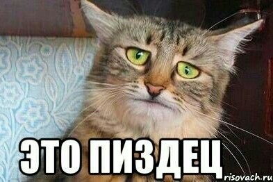 Уфимец чтобы снять проститутку Катю взял кредит и заложил машину