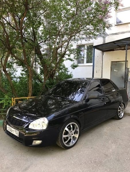 Биомусор на дорогах Н.Новгорода