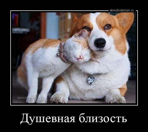 Прикольные и просто красивые картинки 04.06.2021