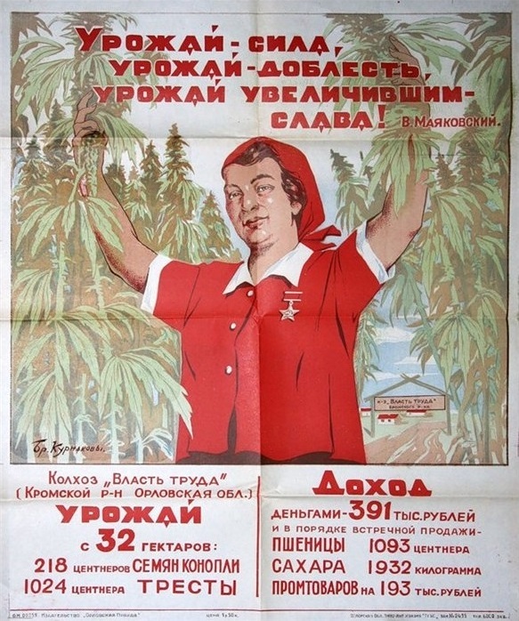 Что мы увидели в захваченной талибами части Афганистана: их режим мягче не стал