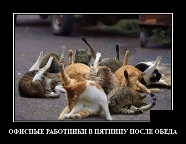 Прикольные и просто красивые картинки
