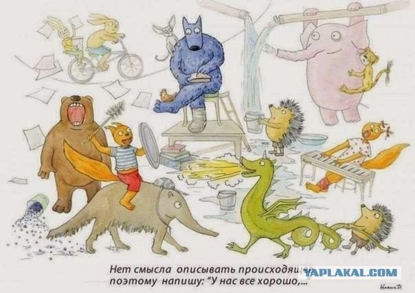 Новый шедевр чиновника: Человек сегодня постит котиков, а завтра – призыв на митинг