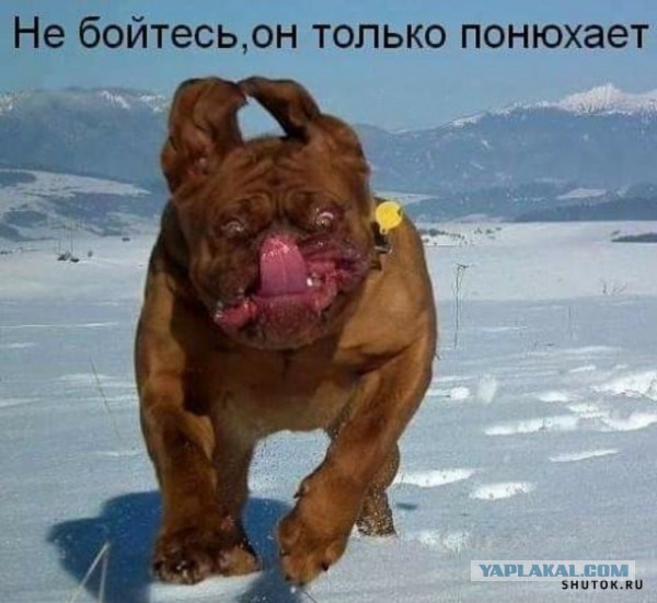 Спасибо
