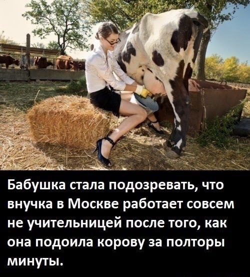 Пятничная Хня, для деградантов