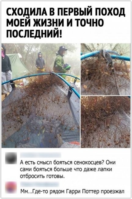 Скриншоты и комментарии из социальных сетей 20.07.22