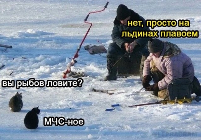 Картинки и мемы для настроения - 119