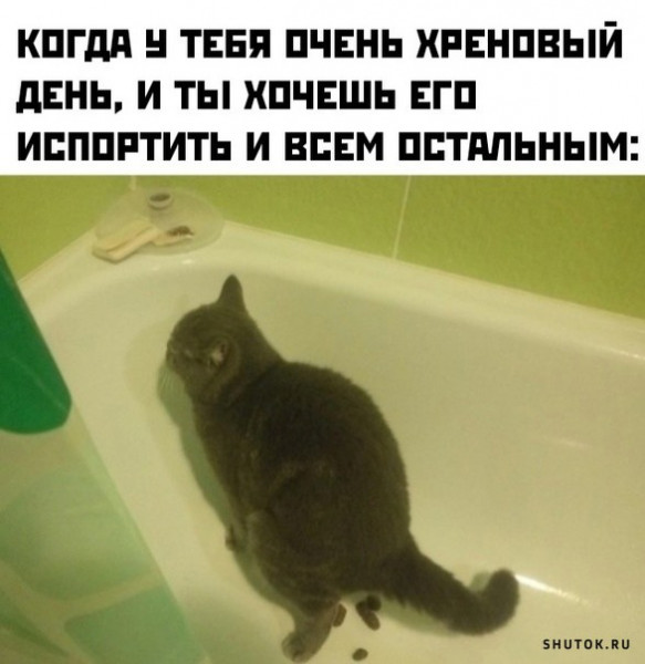Юмор в картинках и без 27.11.2022