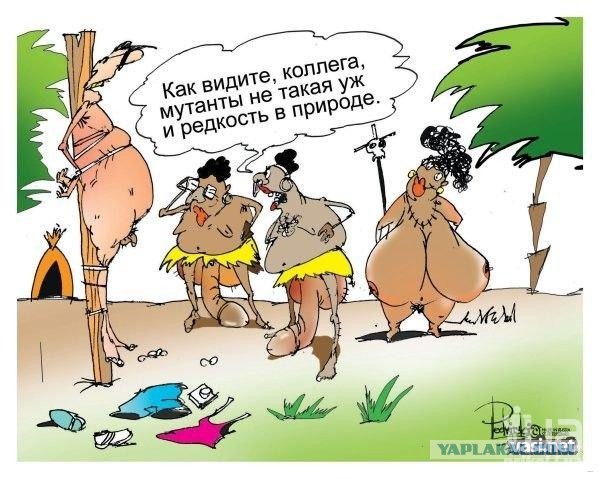 В продолжение темы Гигантский белый медведь: Был в 1.5 раза больше современного белого медведя