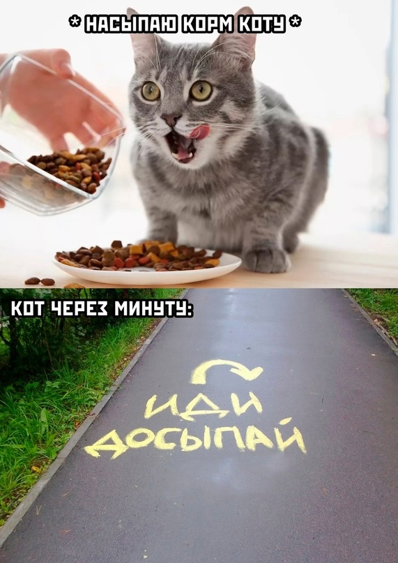 Немного картинок для настроения - 165
