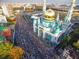 Победная поступь идиотизма по планете – том 15