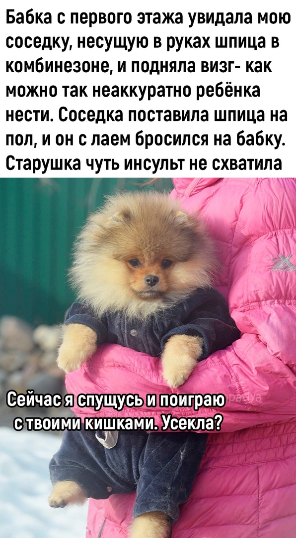 Так себе картинки 17.06.23