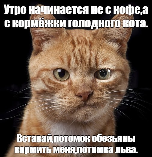 Развелась из-за запаха