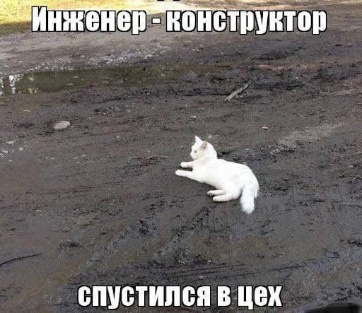 Народная меДИЧина 5011